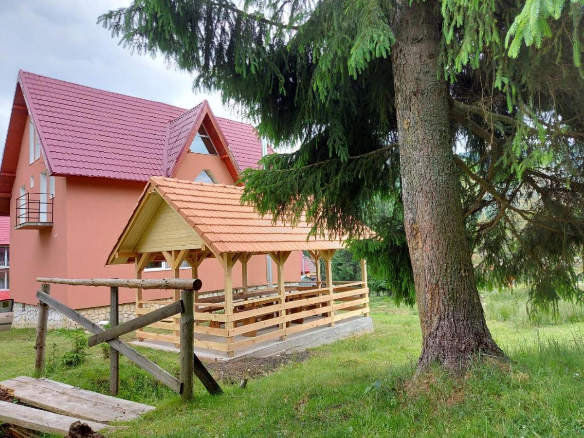Casa Bogdan Villa Vartop Exterior photo